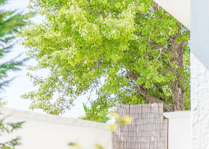 Del Pero * Torre Lapillo